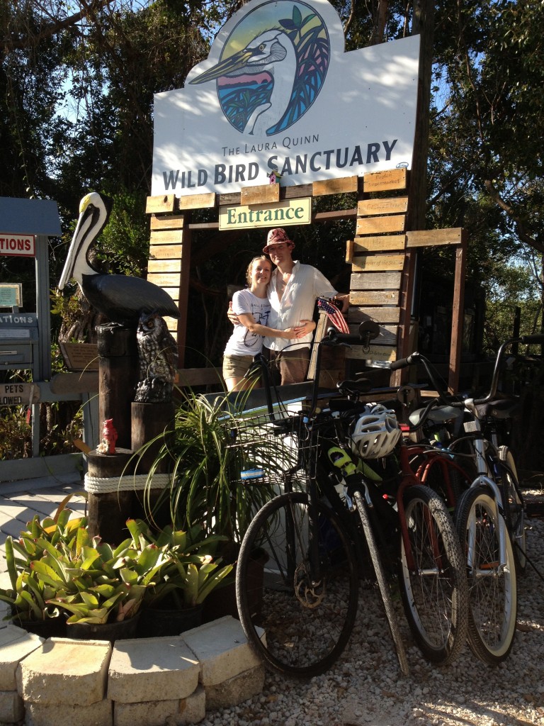 Tavernier, FL: We biked down to see the bird rescue sanctuary.  We saw recuperating and/or sheltered pelicans, ibises, cormorants, turkey vultures, owls, hawks, falcons, plus a parrot, a cockatoo, and even a friendly bluejay.  