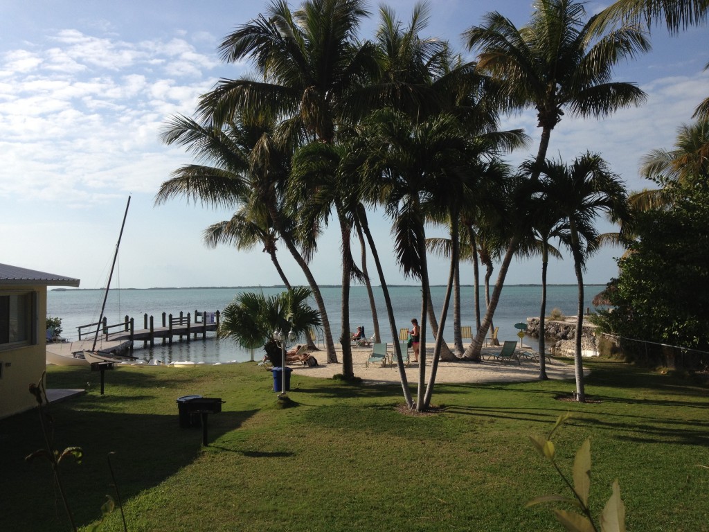 Key Largo: this is the view from our cottage.  Simple beauty right out the sliding glass door. 