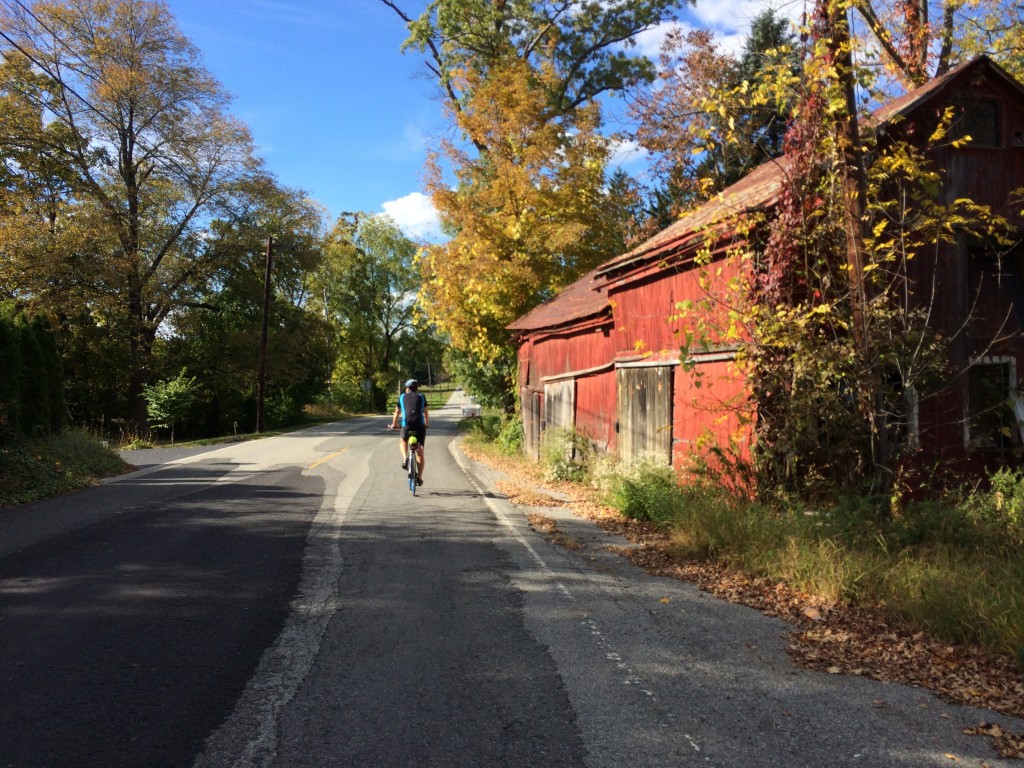 Renee and i set out to see the leaves change color