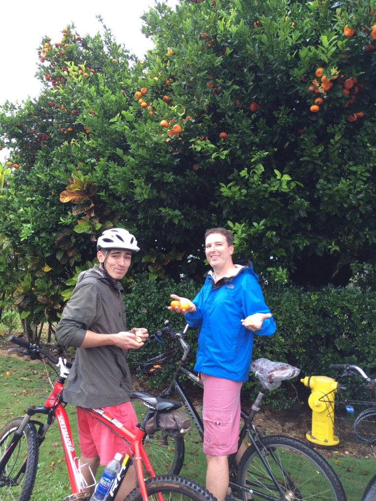 A little rain didn't deter us from riding.  And we were rewarded. The boys found some of the best fruit right on the side of the road...delicious, ripe Clementines.  Sweet!