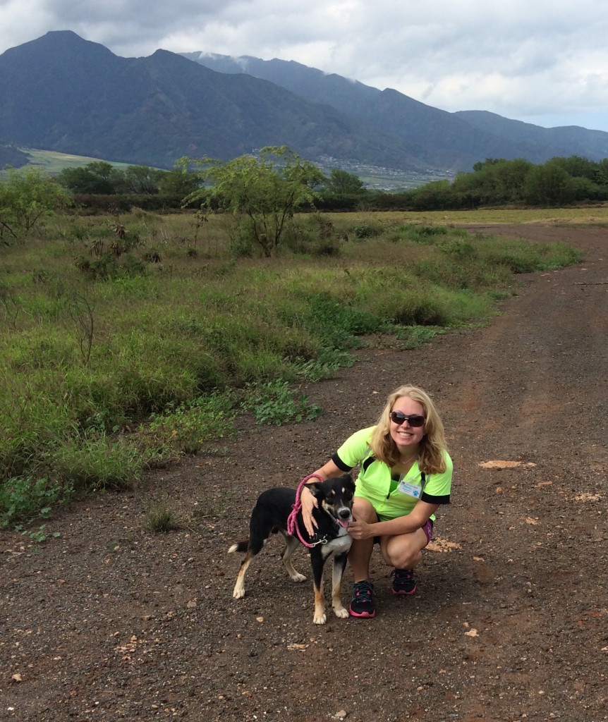 Bonus: my pal Davis flew  to Portland, Oregon as part of the Wings of Aloha program, and was promptly adopted.  Good boy!