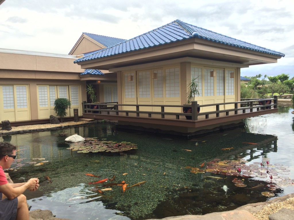 Ron's sitting at a Japanese pond 