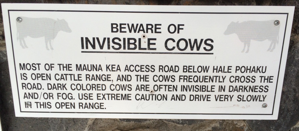 Invisible cows?!?  Cool.  But I never did see one... Hmmm.