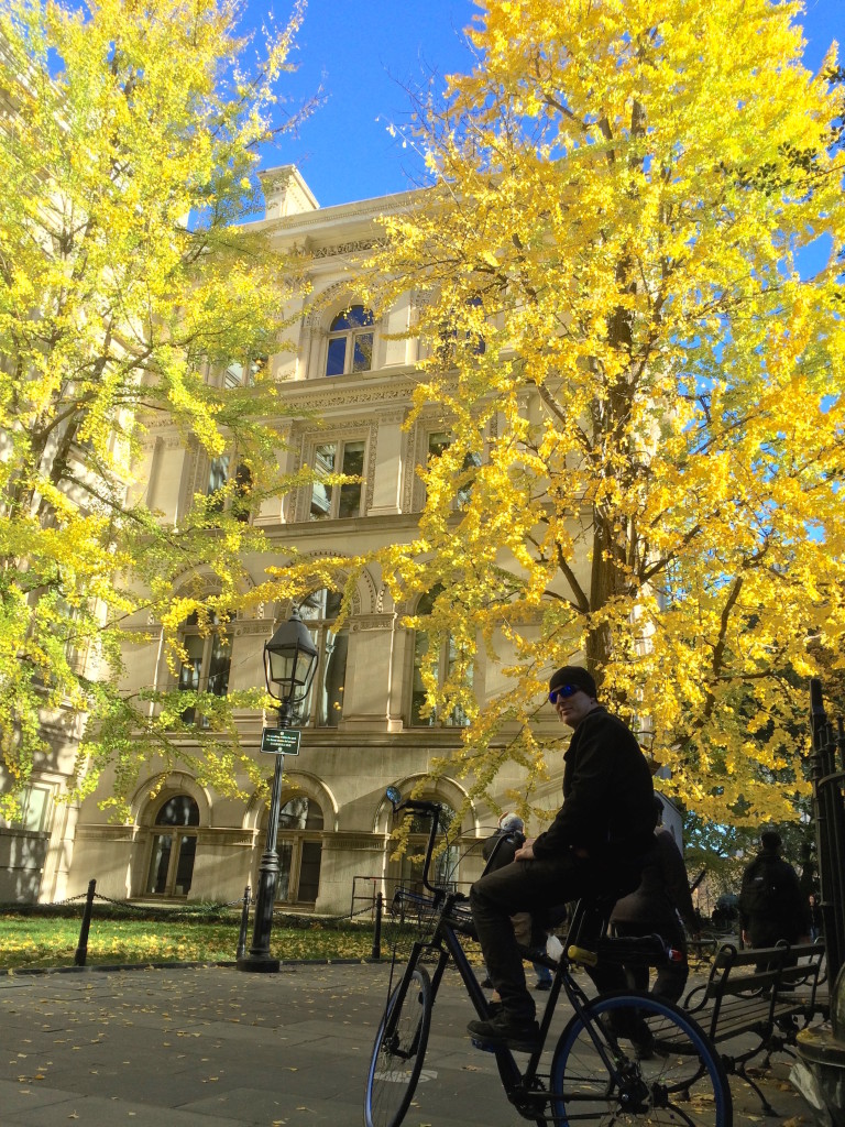 There are still pretty leaves here in NYC. (City Hall Park)