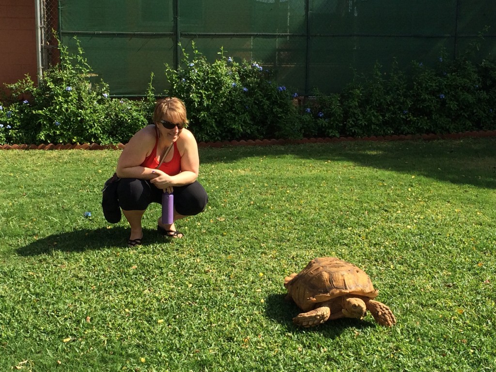 Dawn made friends with Freddie the tortoise. (He is a permanent resident at the humane society).