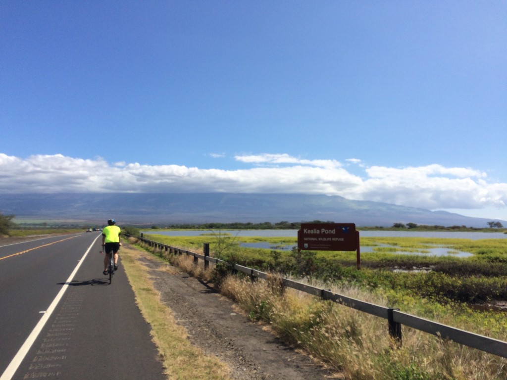 Biking on Maui, you can choose flat roads or volcanic climbs. Just remember that the tradewinds are always along for the ride. 
